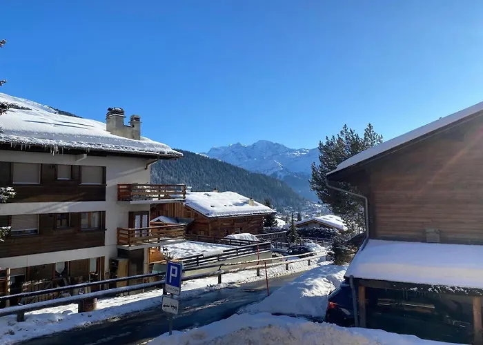 Sologne 024 * Verbier